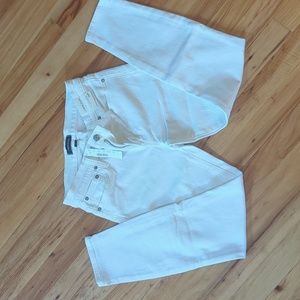 (NEW ) JCREW jeans • size 26p